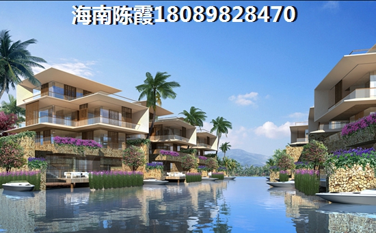 海南京东国际花园入住率怎么样？