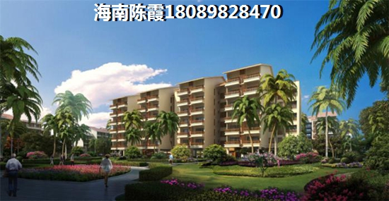 赞城 两居  户型图